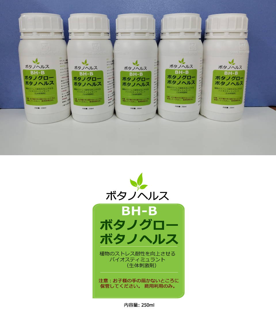 First shipment to Japan