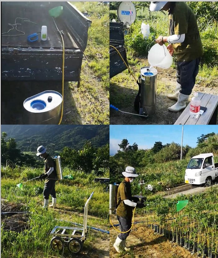 Spraying with BotanoHealth BHB in an okra field in Japan.
