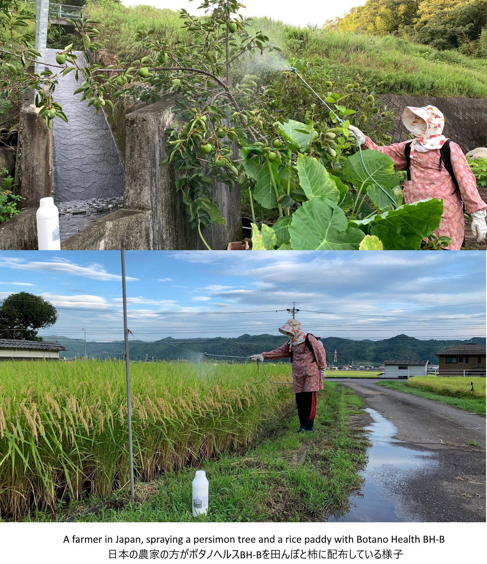 Organic Farming & BotanoHealth BH-B