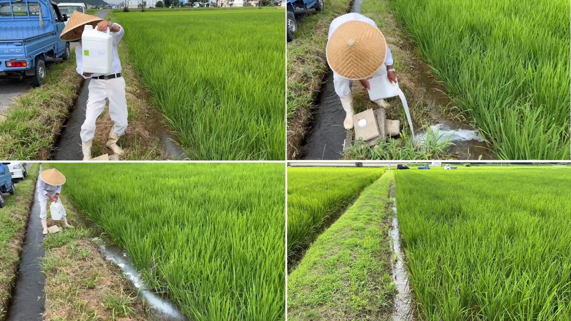Applying BH-B in a rice field in Gifu Japan