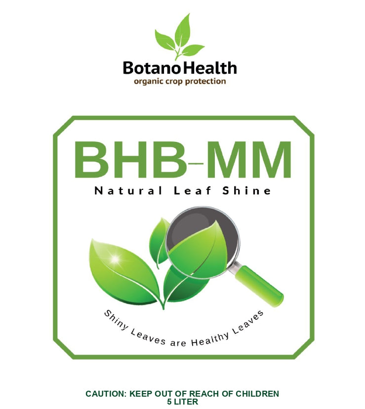 BHB-MM Natural Leaf Shine 5L