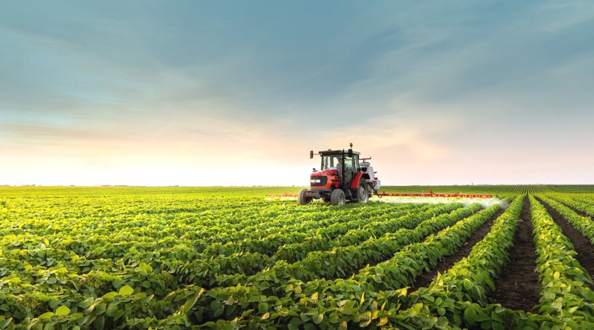 Tractor spraying a soybean field at dusk
